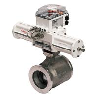 Setball Segmented Ball Valve